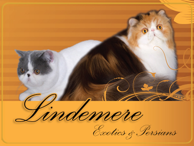 Lindemere Exotics